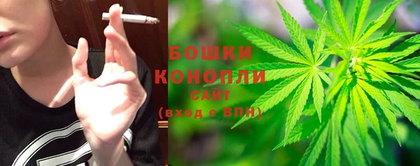 стаф Нея