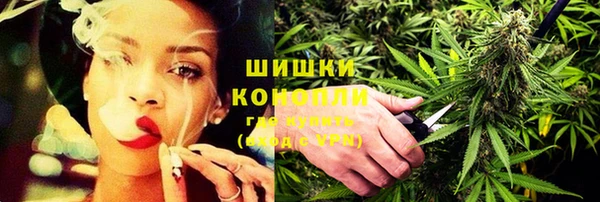 стаф Нея