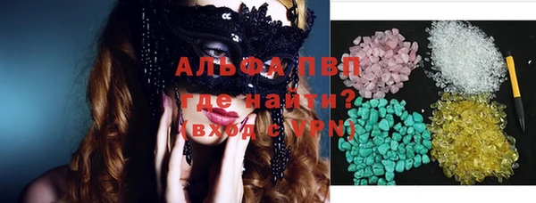 стаф Нея